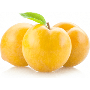 آلو زرد yellow plum -خریدآلو زرد -خرید میوه آنلاین -خرید میوه