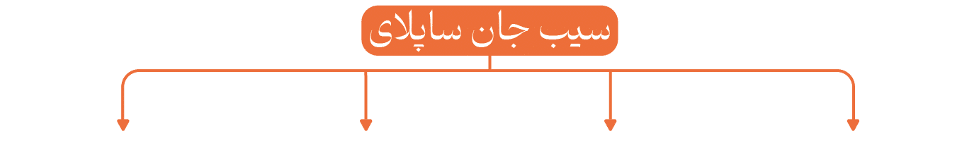 سیب جان _سپلای