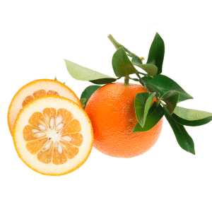 نارنج - sour orange -خرید نارنج -خرید آنلاین صیفی جات - خرید صیفی جات
