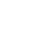 آیکون-_محصولات-خانگی-سیب-جان
